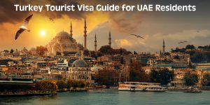Turkey tourist visa for UAE residents – Required documents & process.